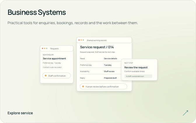 Business Systems — screenshot of the existing page